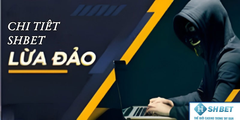 Các thông tin shbet lừa đảo.