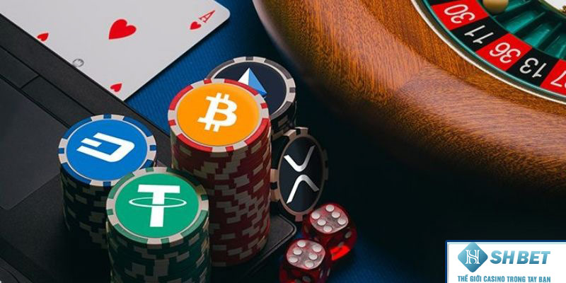 ty-le-ca-cuoc-cao-tai-shbet